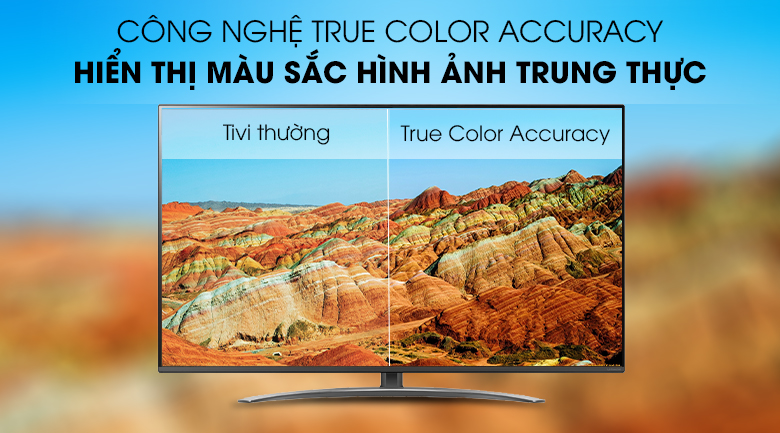 Công nghệ True Color Accuracy - Smart Tivi LG 4K 65 inch 65SM8100PTA Mẫu 2019