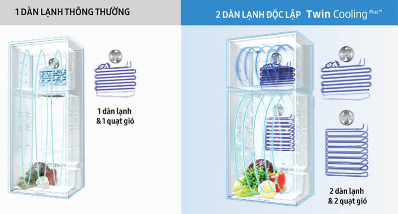 Hai dàn lạnh độc lập Twin Cooling Plus giúp giữ độ ẩm ổn định, làm lạnh nhanh, không lẫn mùi