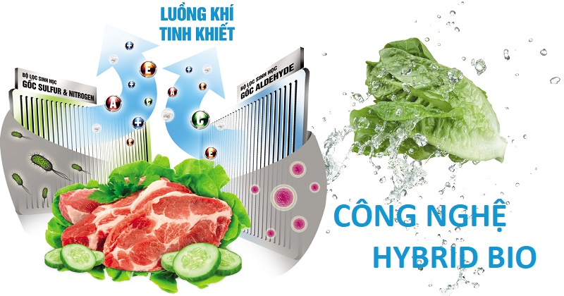 Công nghệ Hybrid Bio loại bỏ hoàn toàn mọi vi khuẩn và mùi hôi bên trong tủ lạnh