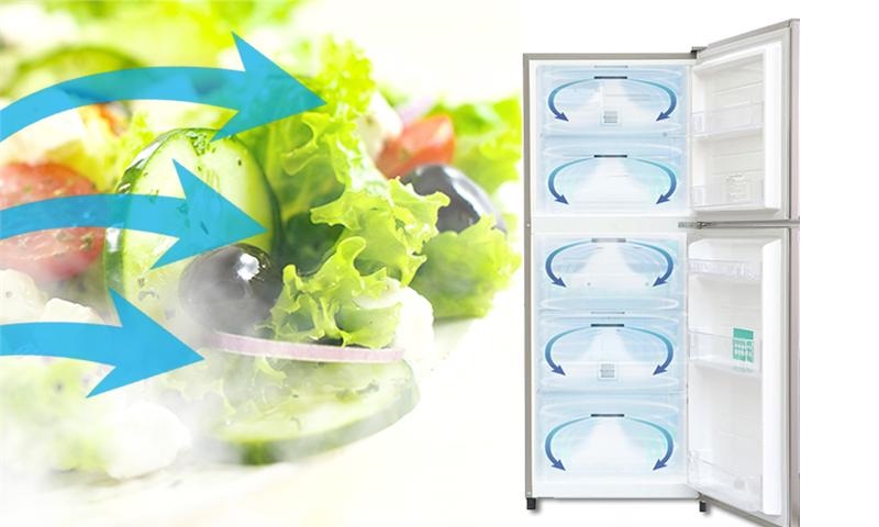 Luồng khí lạnh vòng cung giúp thực phẩm được làm lạnh đồng đều, hiệu quả